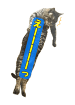 393410267