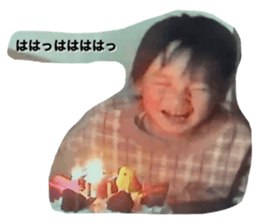 393413902