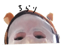 393448549