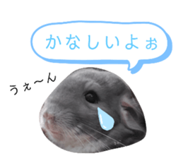 393452644
