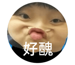 393483454