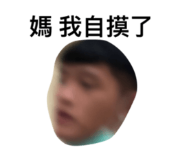 393495960