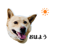 393500030