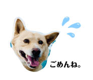 393500032
