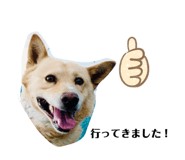 393500036
