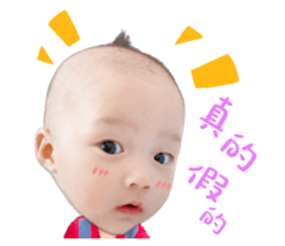 393502047