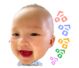 393502049