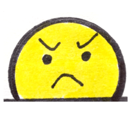 393508704