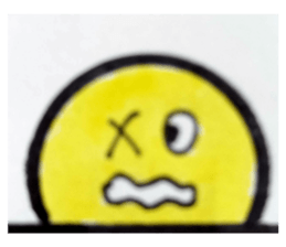 393508715