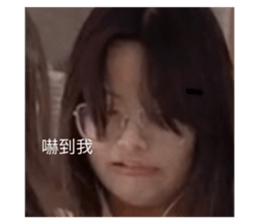 393510545