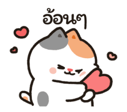 393516843