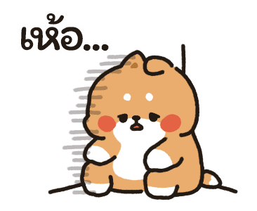 Tonton Friends : น่ารักในทุกๆ วัน รูปที่ 15