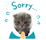 393523692