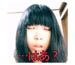 393528630