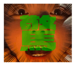 393541196