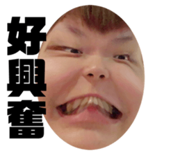 393541198