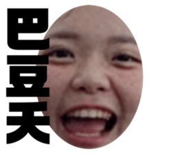 393541201