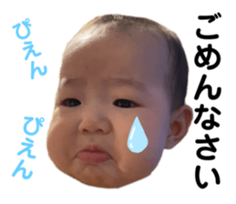 393565962