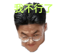 393568281