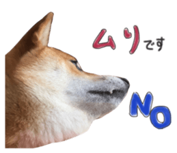 39362198