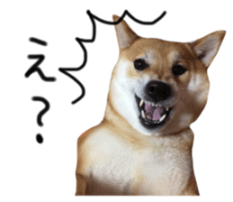 39362199