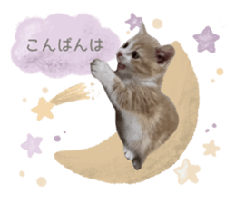 393656289