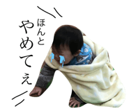 39365826