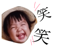 39365833
