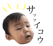 39365845