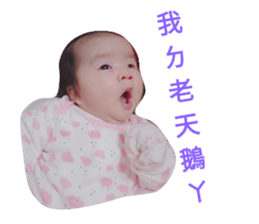 39366062