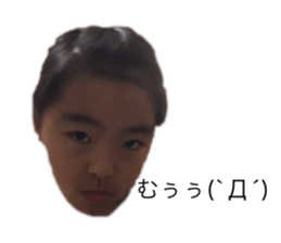 393694383