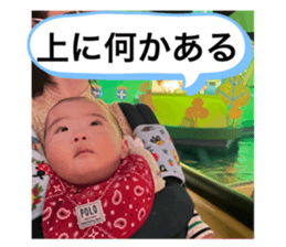 393700019