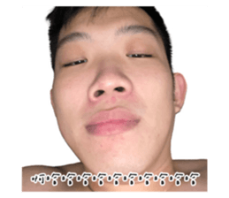 393704479