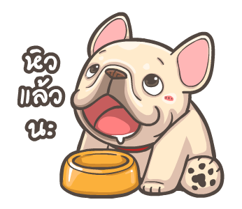 พิกุ - เฟรนช์ บูลด็อก 16 รูปที่ 4