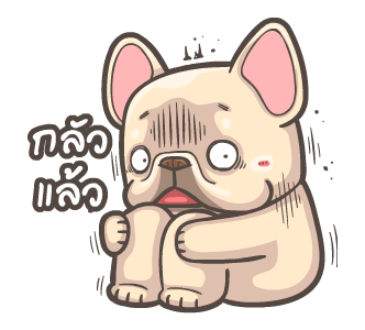 พิกุ - เฟรนช์ บูลด็อก 16 รูปที่ 7