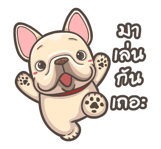 พิกุ - เฟรนช์ บูลด็อก 16 รูปที่ 8