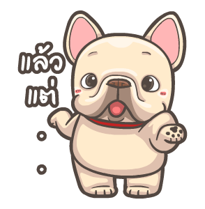 พิกุ - เฟรนช์ บูลด็อก 16 รูปที่ 16