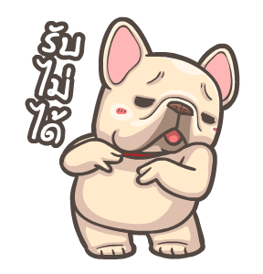 พิกุ - เฟรนช์ บูลด็อก 16 รูปที่ 17