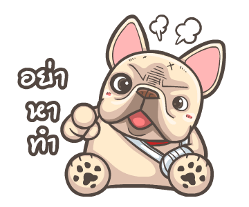 พิกุ - เฟรนช์ บูลด็อก 16 รูปที่ 21
