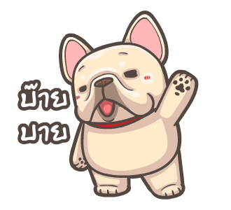 พิกุ - เฟรนช์ บูลด็อก 16 รูปที่ 23