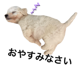 393773298