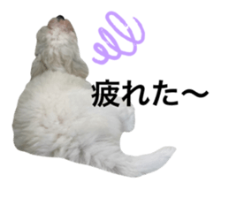 393773312