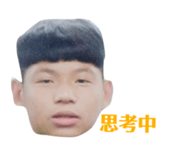 393780116