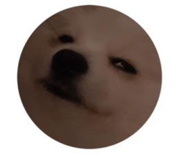 393808541