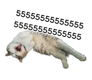 393810436
