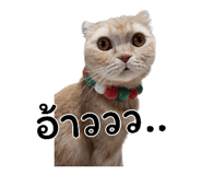 393810439