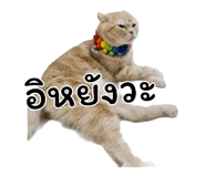 393810443