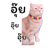 393810448