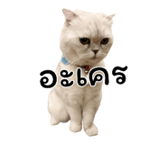 393810461