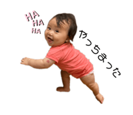 393846702